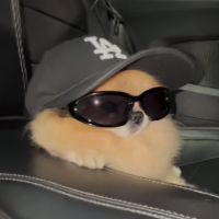 kortorf Avatar