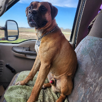 rainydaybill77 Avatar