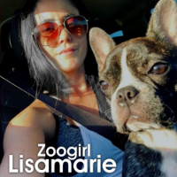lisamarie12 Avatar