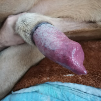 Juliacrn的化身