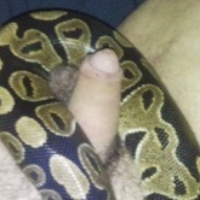 hornyxhusband91的化身