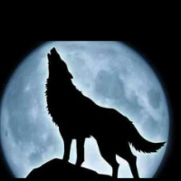 hottdoggi Avatar