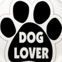 andreaskimionis Avatar