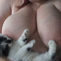 retiredphone的化身