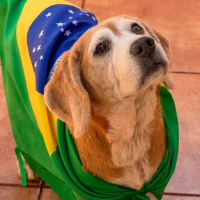 irmaosp Avatar