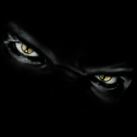 yezoo07 Avatar
