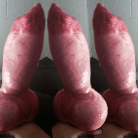 bestiality1999 Avatar