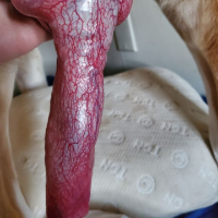 knottyknot01的化身