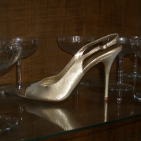 sandra_venus的化身