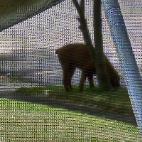 babyjoker2024的化身