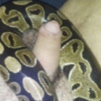 bighornydad454 Avatar