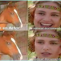 dandog1980 Avatar