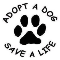 zoophiliaknots Avatar