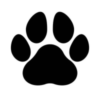 fetichezoo Avatar