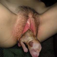 belinda12345的化身