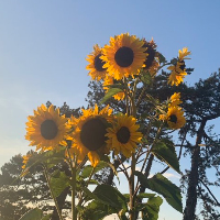 friendlyedger Avatar