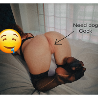 colombianfan的化身