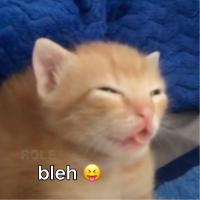Gato Avatar