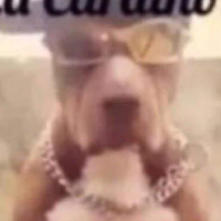 amoumcuzinho的化身