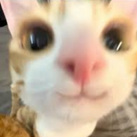 faggotmaggot Avatar