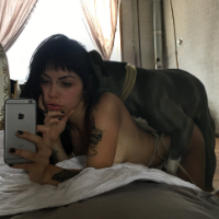 oaxacanator的化身