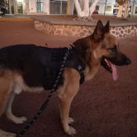 alejandro958的化身