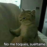 Likezoolovers Avatar