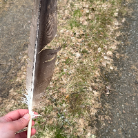 pooki的化身
