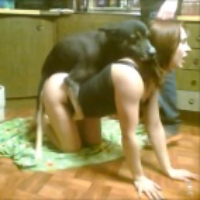 honeyfanferxxx Avatar