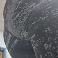 maxineborneo的化身