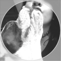 verorios Avatar