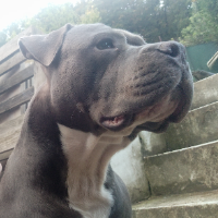 Miron Avatar