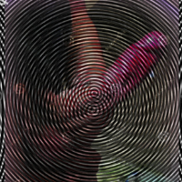 nnom22的化身
