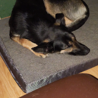 marcmaltais534 Avatar