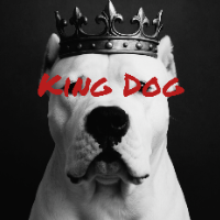 kingdog_的化身