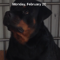 godfathersg2000的化身