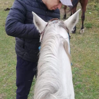 costanerasolo Avatar