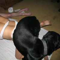 PetiteDog的化身