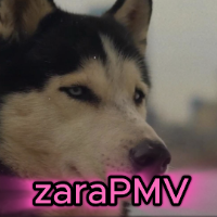 zara_pmv的化身