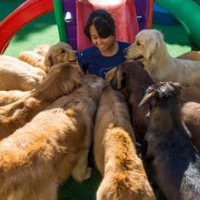 abcdasilva156的化身