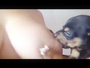 Puppy sucks-BestialitySexTaboo -  Bestiality Sex Taboo