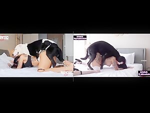 Raven - BestialitySexTaboo -  Bestiality Sex Taboo