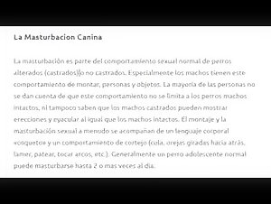 Guide sex dog - BestialitySexTaboo -  Bestiality Sex Taboo