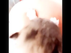 Breastfeeding puppy 7 - BestialitySexTaboo -  Bestiality Sex Taboo