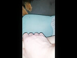 K9 sex - BestialitySexTaboo -  Bestiality Sex Taboo