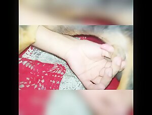 masturbating the puppy - BestialitySexTaboo -  Bestiality Sex Taboo