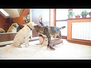 Yasmin dog sex 