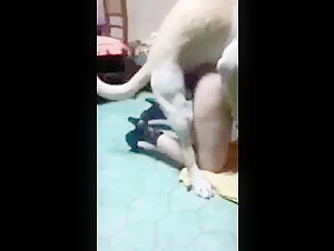 Fantastic video - BestialitySexTaboo -  Bestiality Sex Taboo