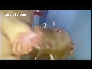 Woman breastfeeding big dog in bathroom rare full video - BestialitySexTaboo -  Bestiality Sex Taboo