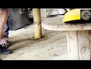 Horse extreme fuck - BestialitySexTaboo -  Bestiality Sex Taboo